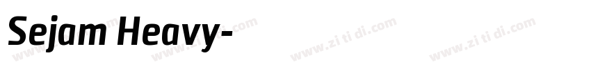 Sejam Heavy字体转换
